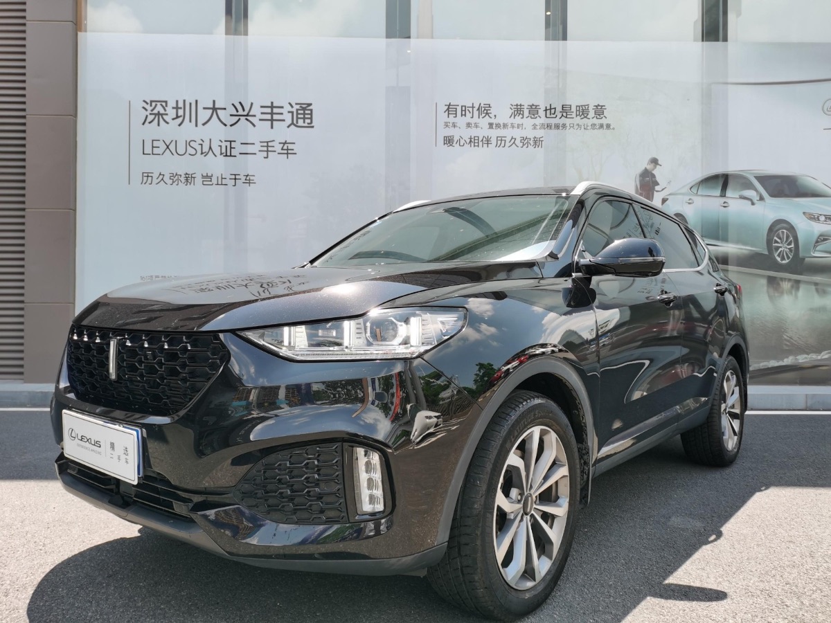 2019 WEY VV5 Upgraded 2.0T Two-wheel Drive Flagship Model National VI 48,000 Kilometers